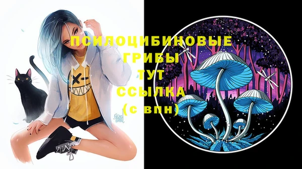 прущие крисы Абдулино