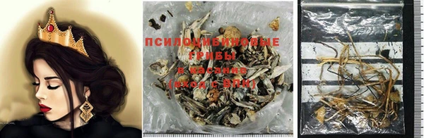 прущие крисы Абдулино